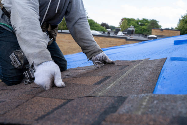 Quick and Trustworthy Emergency Roof Repair Services in Cloverdale, VA